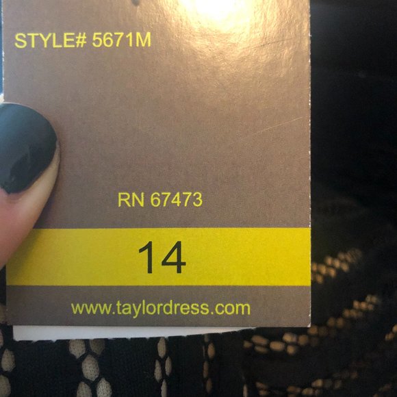 Amazing Black and Nude Dress- So Unique!! NWT - Picture 10 of 10